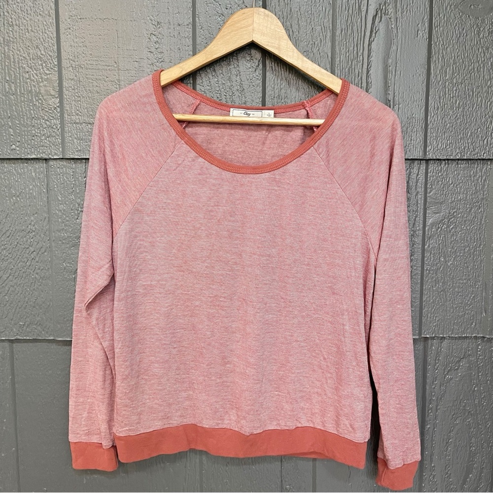 Obey rust burn out striped long sleeve soft shirt